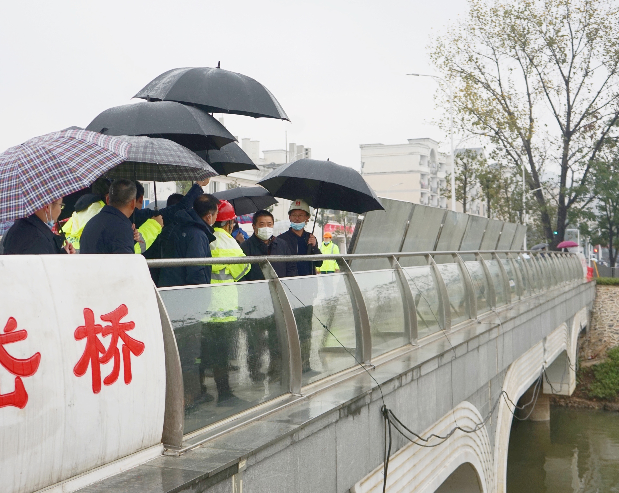 武漢生態(tài)環(huán)境投資發(fā)展集團董事長胡承啟帶隊實地調(diào)研湖溪河綜合治理工程1.jpg